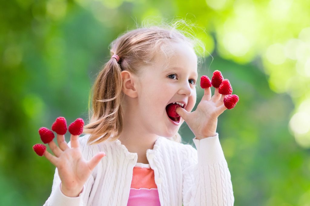 Obst - Bio - Grünkäppchen - Der Biolieferdienst für Kindergärten ist GRÜNKÄPPCHEN e.K.
