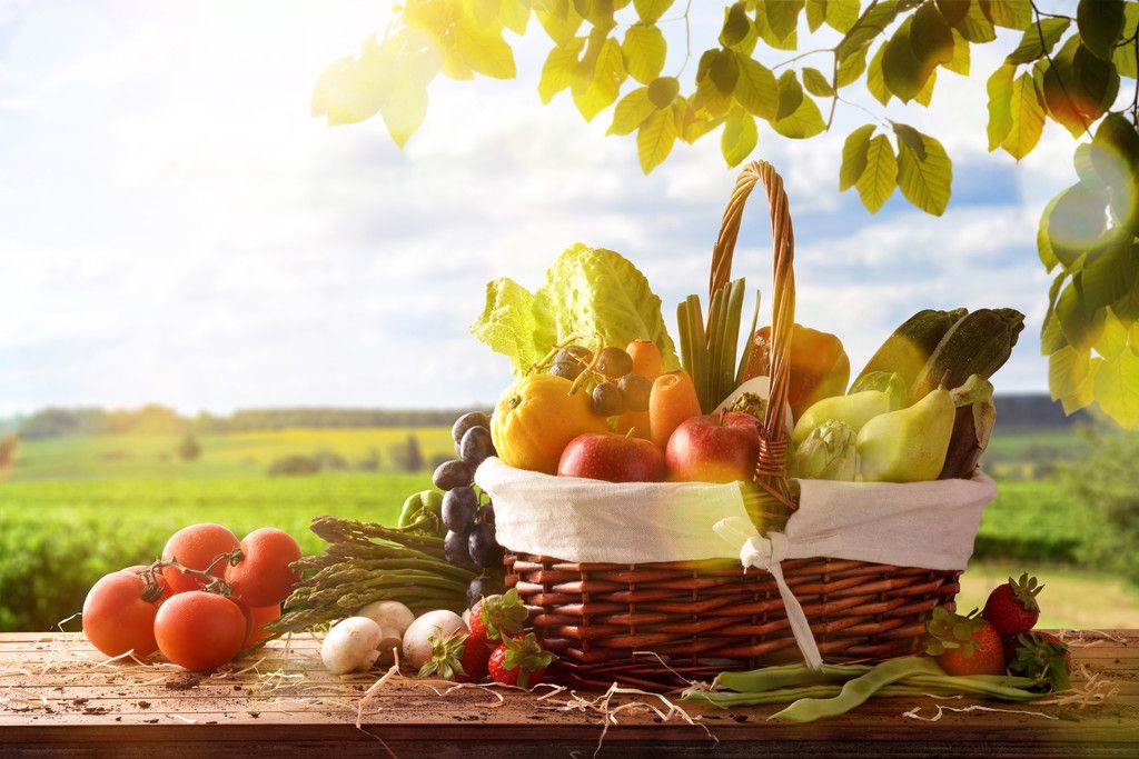 Obst - Bio - Grünkäppchen - Wiederverkäufer nutzen den GRÜNKÄPPCHEN Service